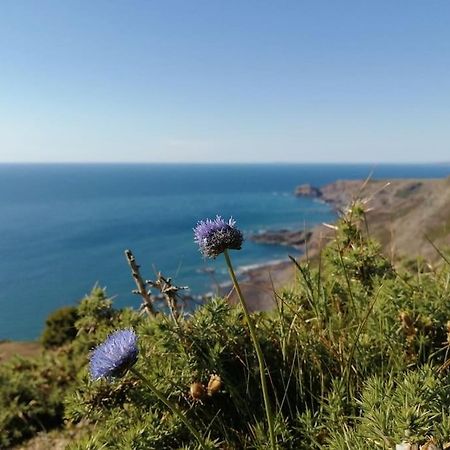 Kiberick Cottage At Crackington Haven, Near Bude And Boscastle, Cornwall Exterior foto