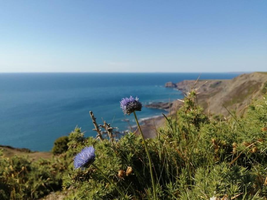 Kiberick Cottage At Crackington Haven, Near Bude And Boscastle, Cornwall Exterior foto